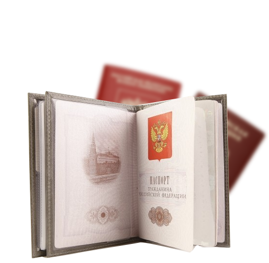 Внутреннее содержание российского паспорта картинка